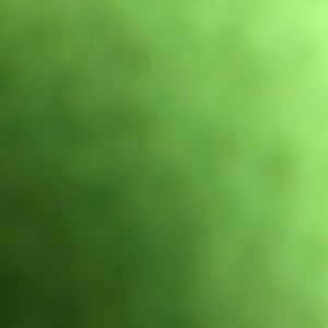 Meet your Posher, Jeff